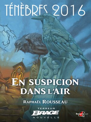 cover image of En suspicion dans l'air
